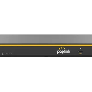 Peplink B One