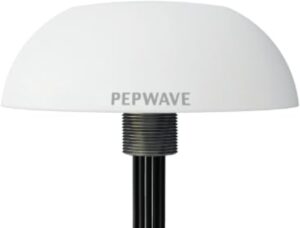 Peplink IP67 Dome Antennas 100